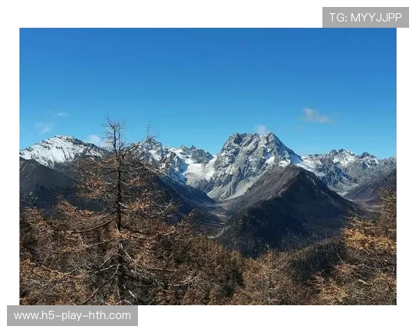 “雪域霸主：白色赛场的冠军归来”，雪域白图片