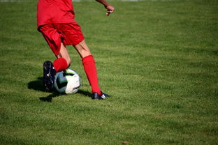 华体会在线登录-篮球比赛策略智能辅助系统研发与应用,篮球智能训练 第2张 华体会在线登录-篮球比赛策略智能辅助系统研发与应用,篮球智能训练 第2张