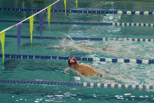 华体会网站-“2025世界游泳锦标赛：水上芭蕾展现不一样的艺术魅力”