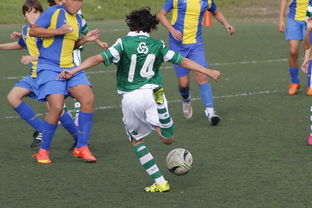 华体会官方网站-男子国家队拓展多战术组合备战国际高强度对抗,男子国家队世界排名